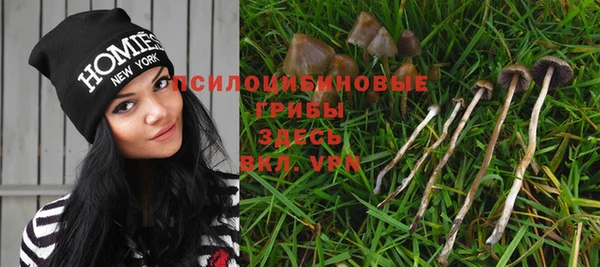 СК Арсеньев