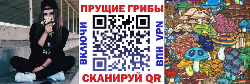 Галлюциногенные грибы мицелий  Райчихинск 